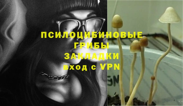 mdpv Алзамай
