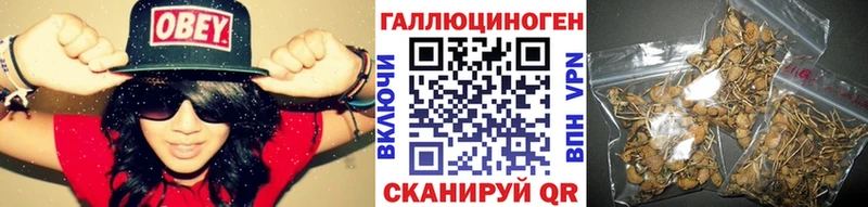 ОМГ ОМГ ссылки  Джанкой  Псилоцибиновые грибы прущие грибы 